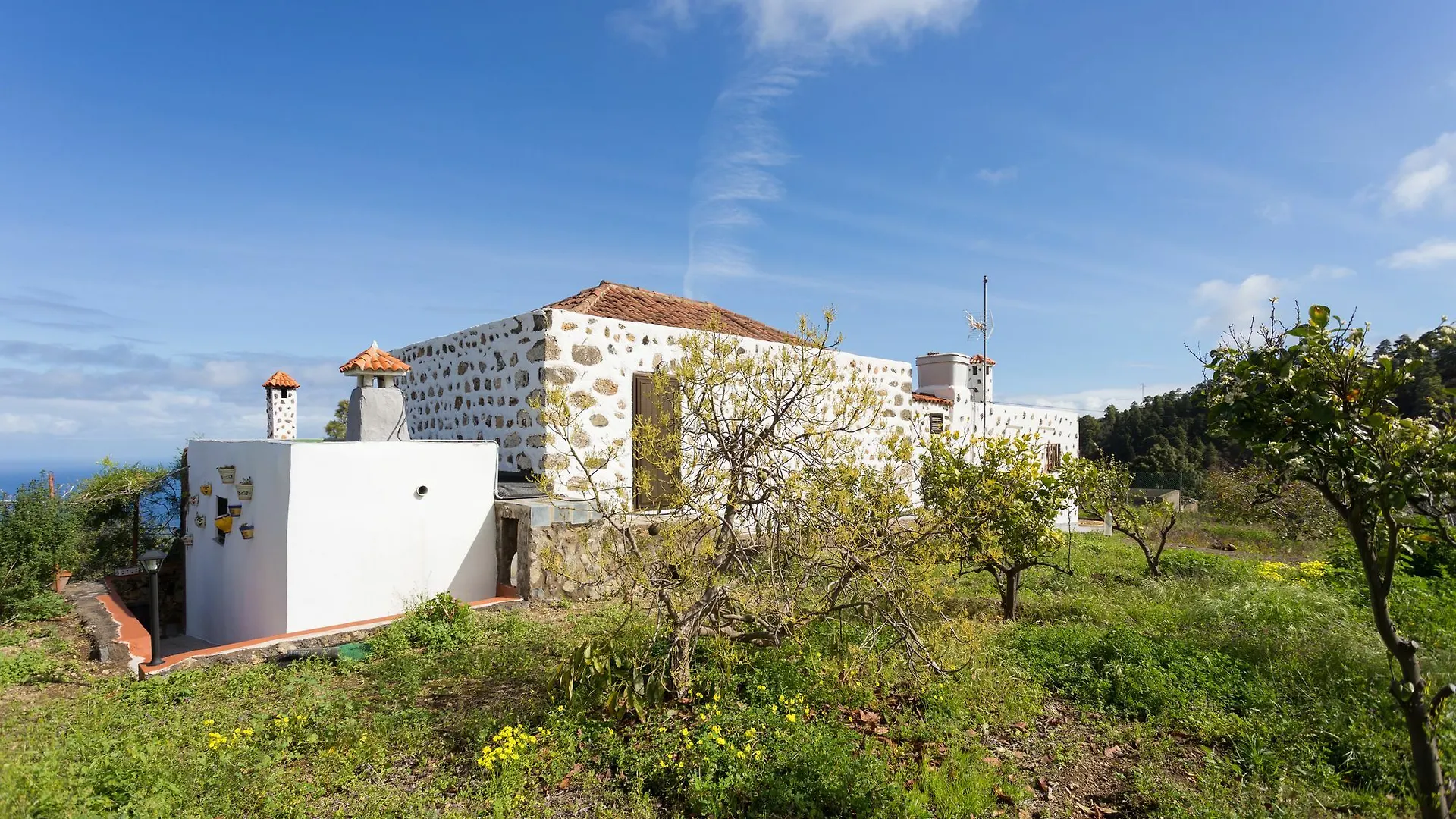 Finca Casa Rosalia Icod De Los Vinos Spain