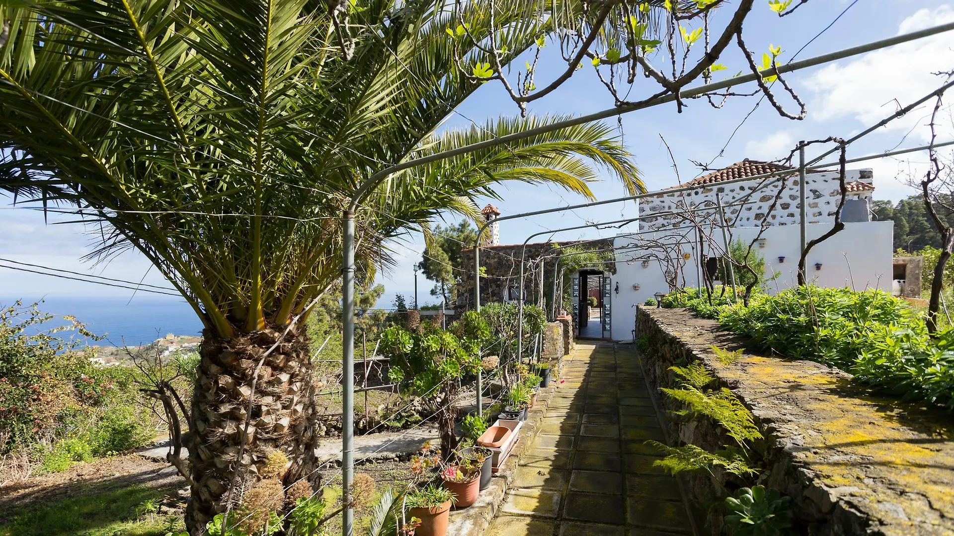 Finca Casa Rosalia Icod De Los Vinos 0*,